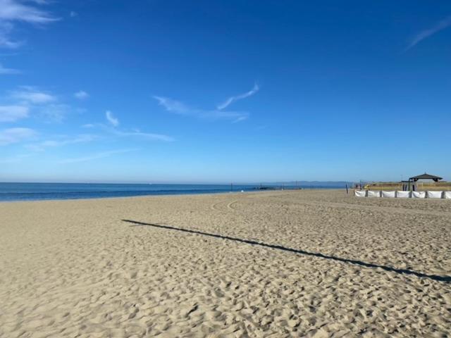 Casa Vacanza Surf & Kite Focene Dış mekan fotoğraf